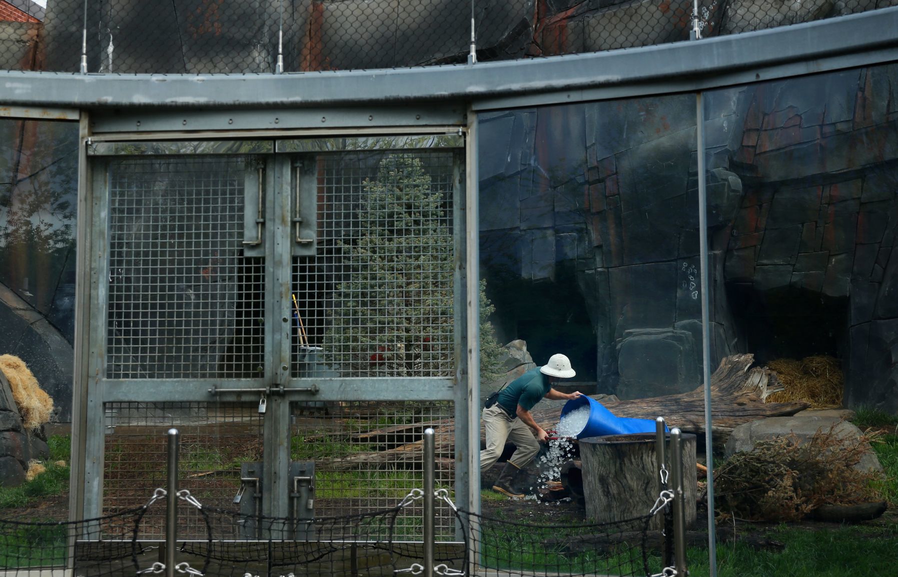 Most work continues at St. Louis Zoo despite coronavirus